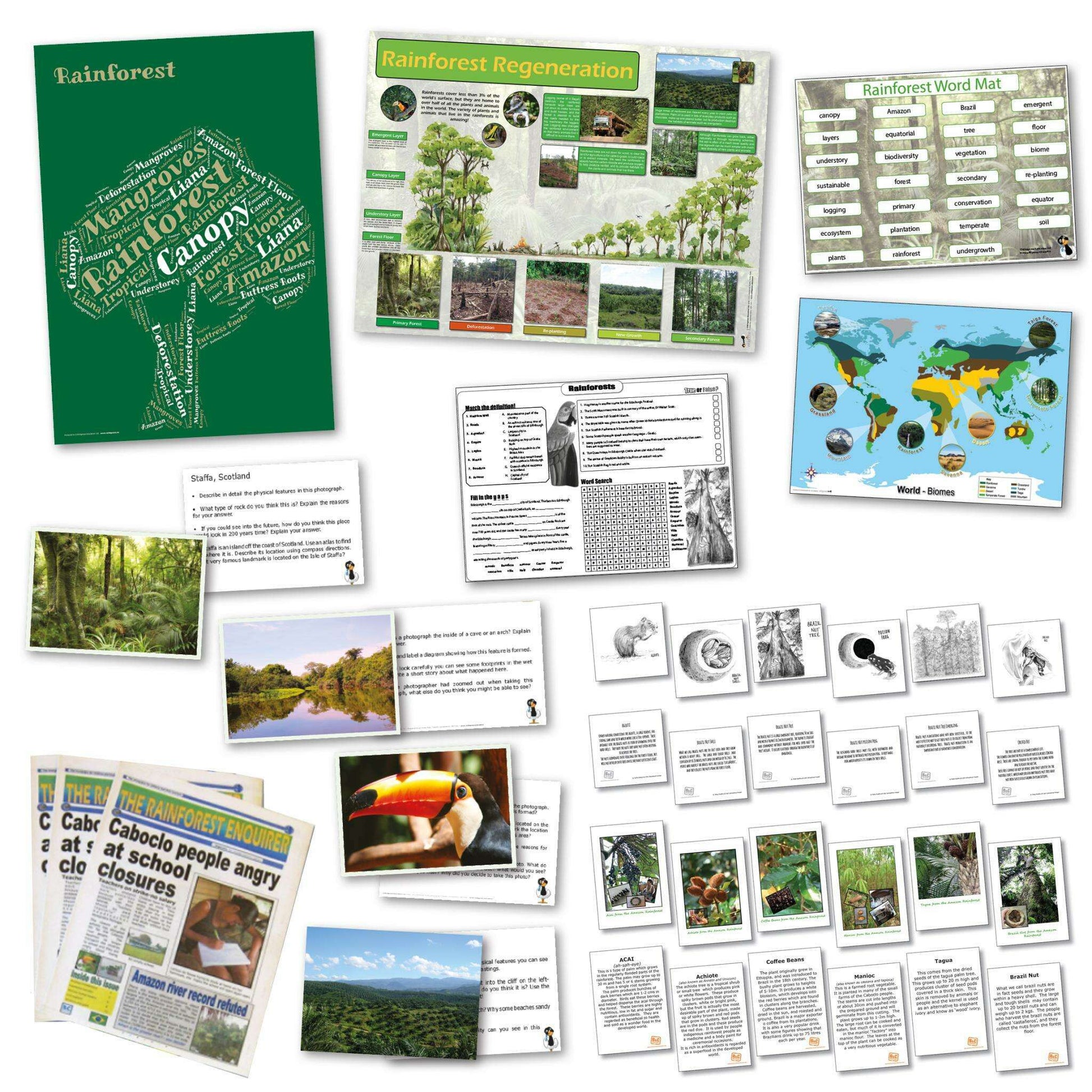 Rainforest Curriculum Pack:Primary Classroom Resources