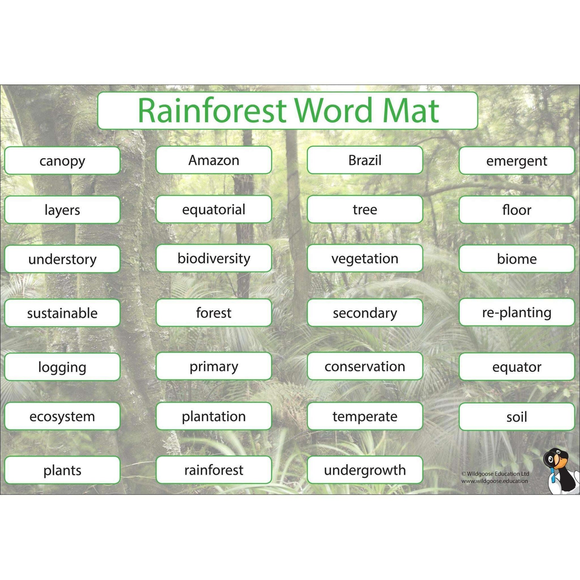 Rainforest Curriculum Pack:Primary Classroom Resources