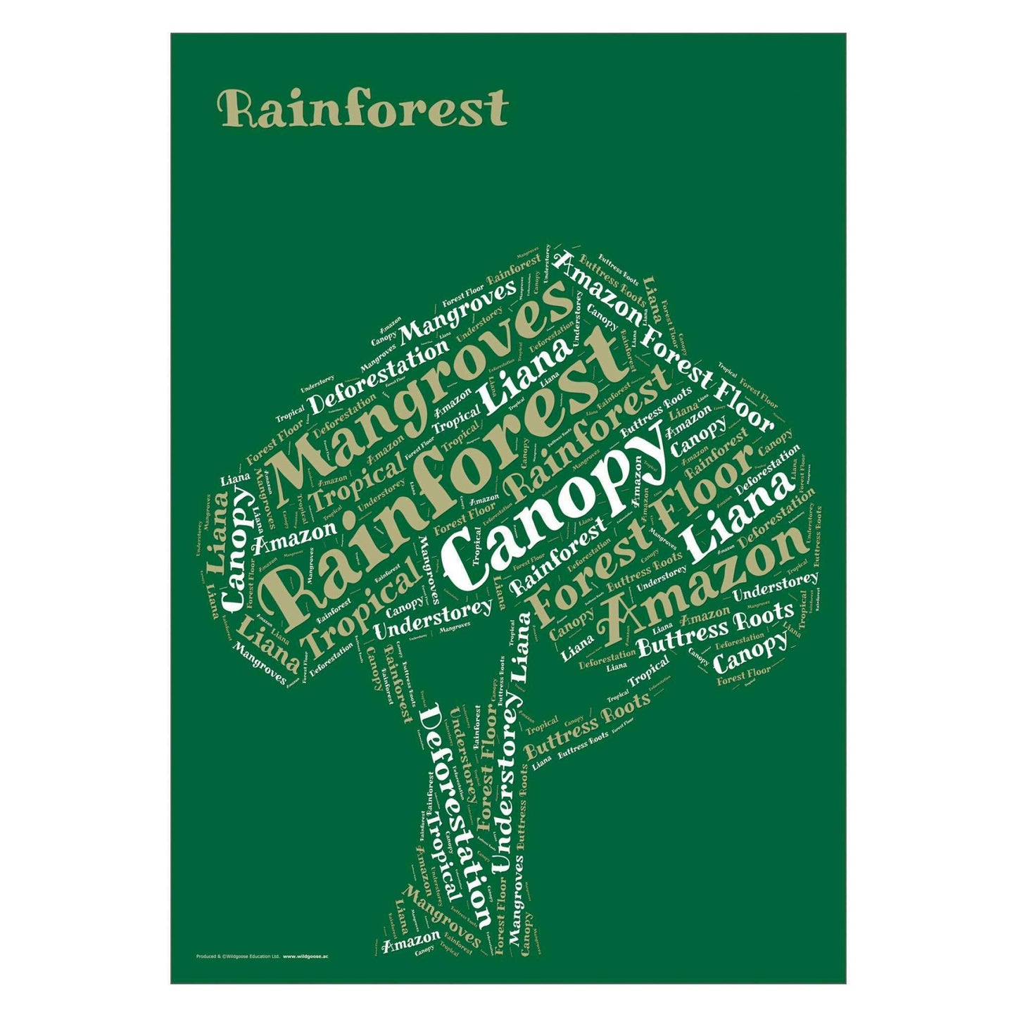 Rainforest Curriculum Pack:Primary Classroom Resources