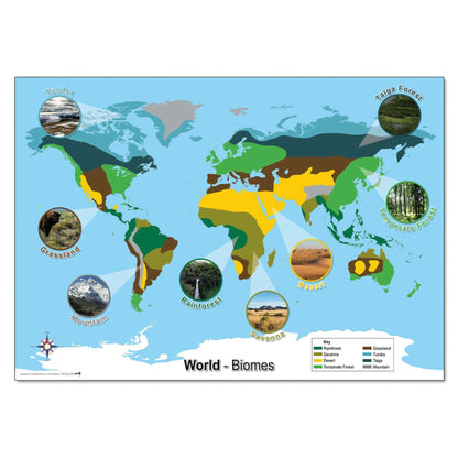 Biomes Curriculum Pack:Primary Classroom Resources