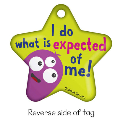Responsibility Brag Tags - Values Rewards - Pack of 10:Primary Classroom Resources