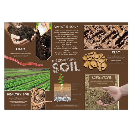 Discovering Soil Classroom Display Poster:Primary Classroom Resources