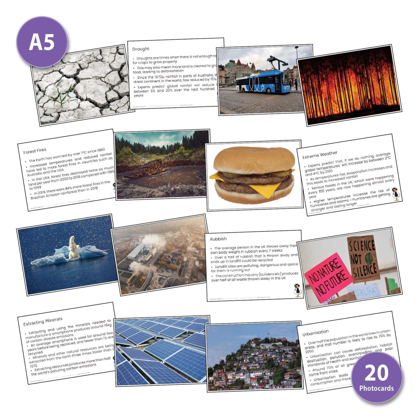 Climate Emergency Fact Cards:Primary Classroom Resources
