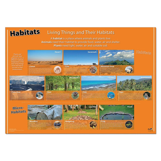Habitats Classroom Display Poster:Primary Classroom Resources