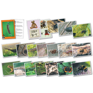 Descriptive image text