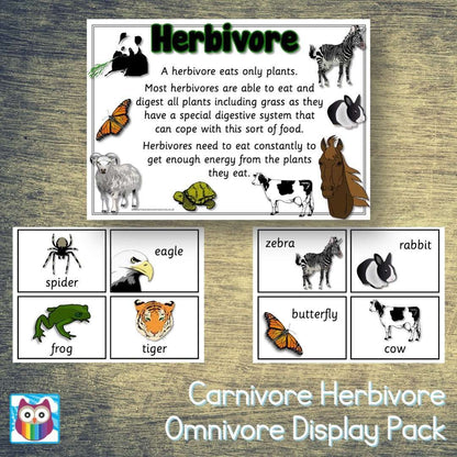 Carnivore Herbivore Omnivore Display Pack:Primary Classroom Resources