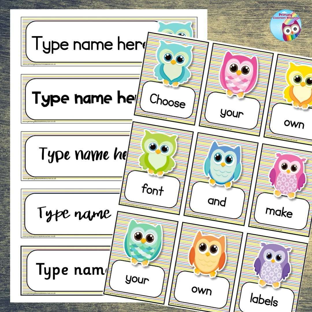 EDITABLE Name Tray & Coat Peg Labels - Colourful Owl:Primary Classroom Resources