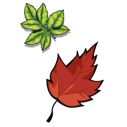 Leaf Templates:Primary Classroom Resources