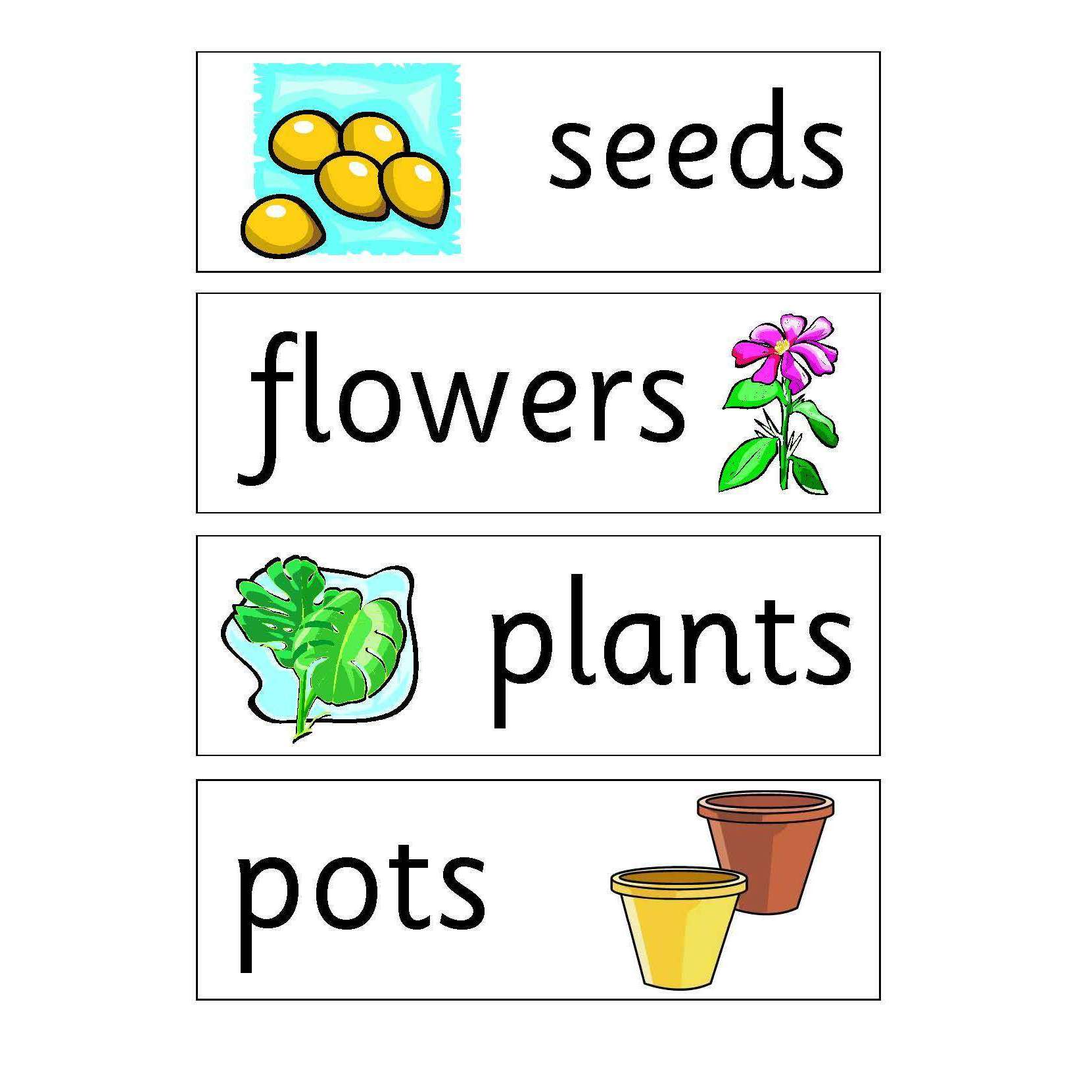 Garden Centre Flashcards:Primary Classroom Resources