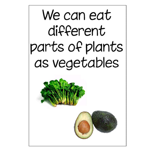 Vegetables Display Pack:Primary Classroom Resources
