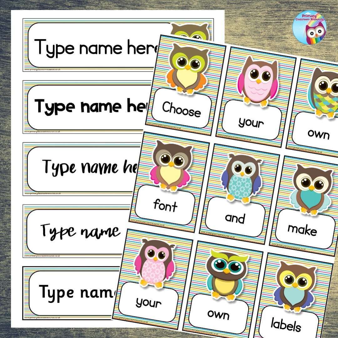 EDITABLE Name Tray & Coat Peg Labels - Funky Owl:Primary Classroom Resources