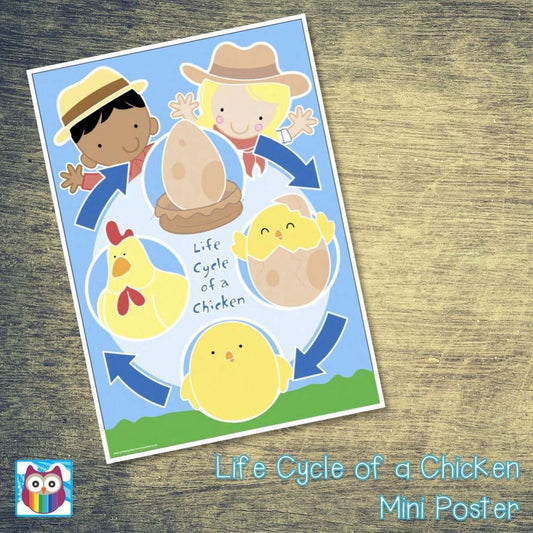 Life Cycle of a Chicken Mini Poster/Mat Pack:Primary Classroom Resources