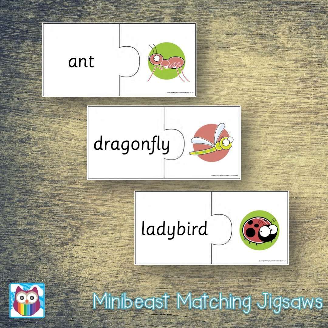 Minibeast Matching Jigsaws:Primary Classroom Resources