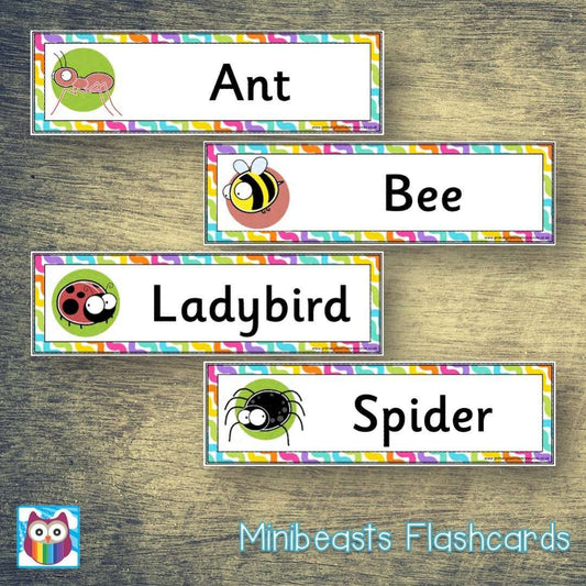 Minibeasts Flashcards:Primary Classroom Resources