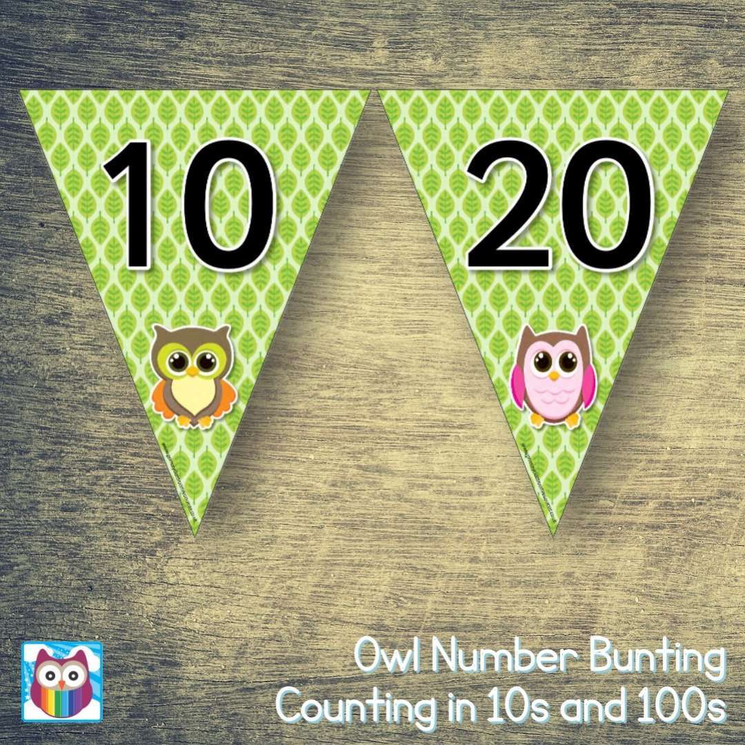 Owl Number Bunting - Counting in 10s and 100s:Primary Classroom Resources