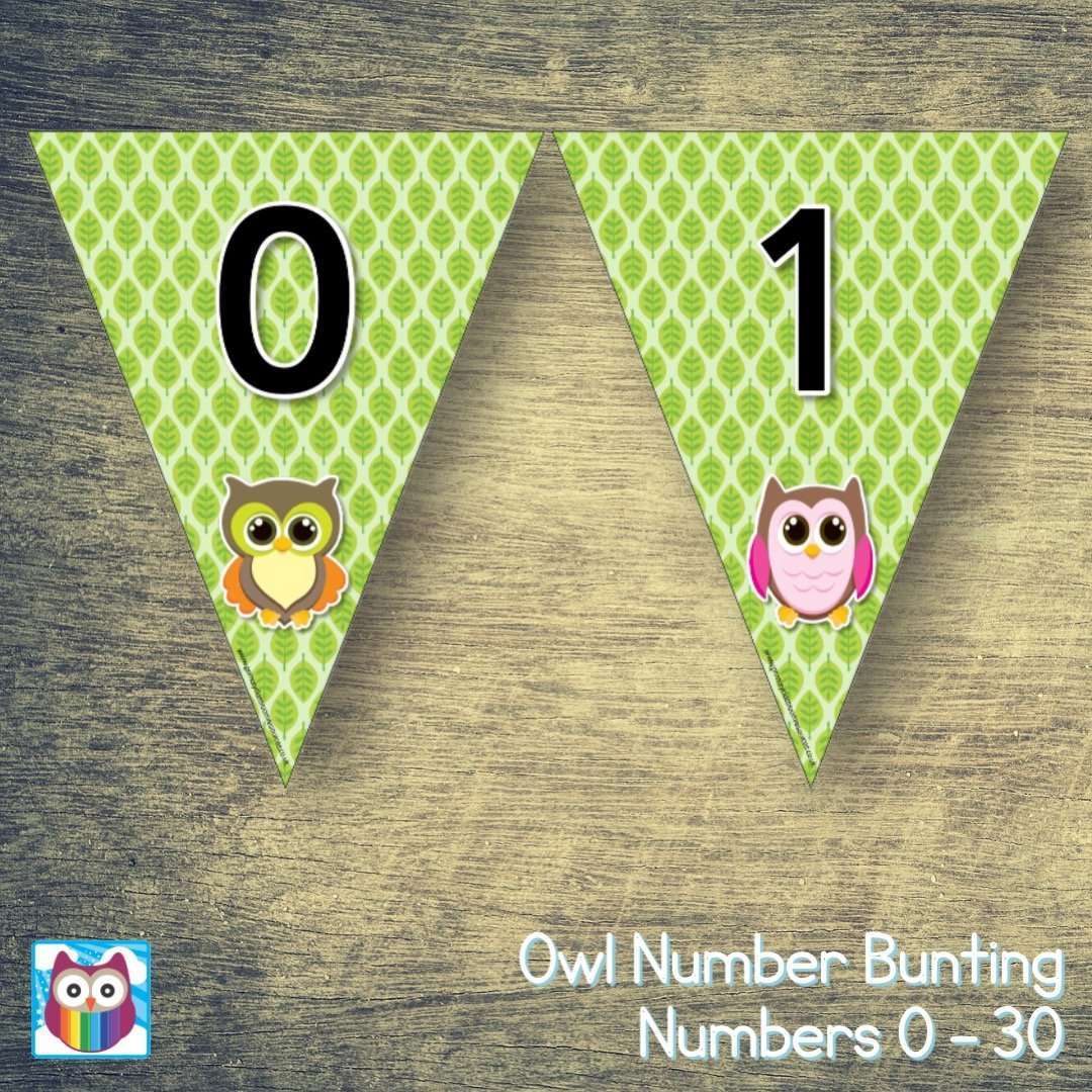Owl Number Bunting:Primary Classroom Resources