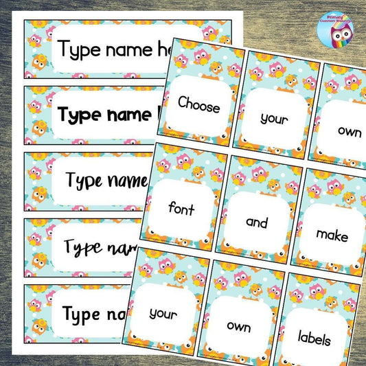 EDITABLE Name Tray & Coat Peg Labels - Owls:Primary Classroom Resources