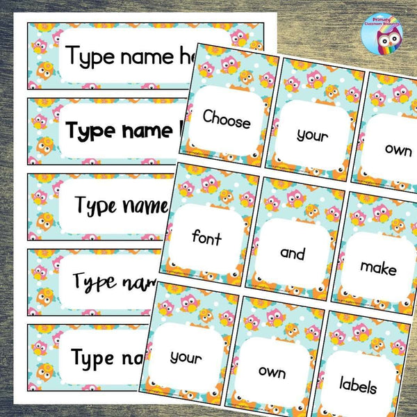 EDITABLE Name Tray & Coat Peg Labels Owls Primary Classroom Resources