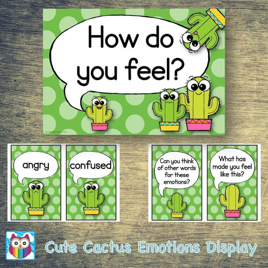 Cute Cactus Emotions Display:Primary Classroom Resources