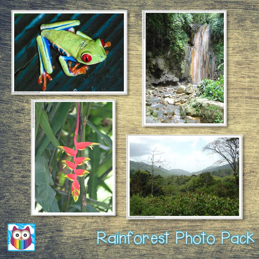 Rainforest Photo Pack:Primary Classroom Resources