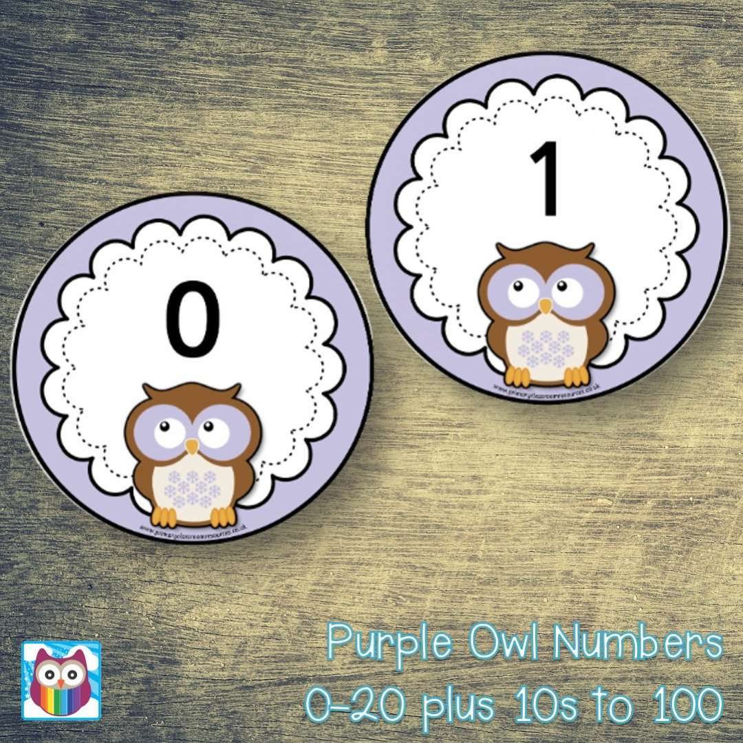 Purple Owl Numbers 0-20 plus 10s to 100:Primary Classroom Resources