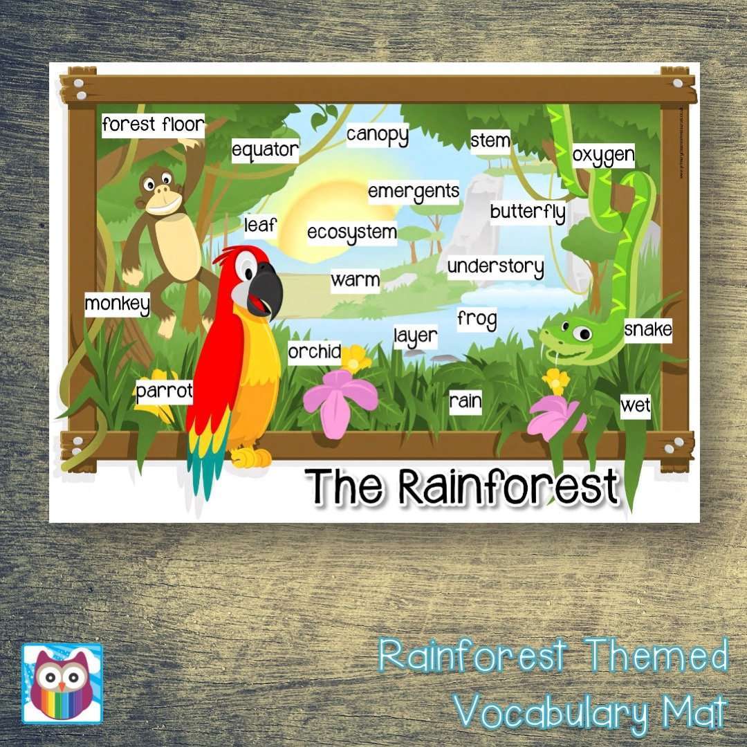 Rainforest Themed Vocabulary Mat:Primary Classroom Resources