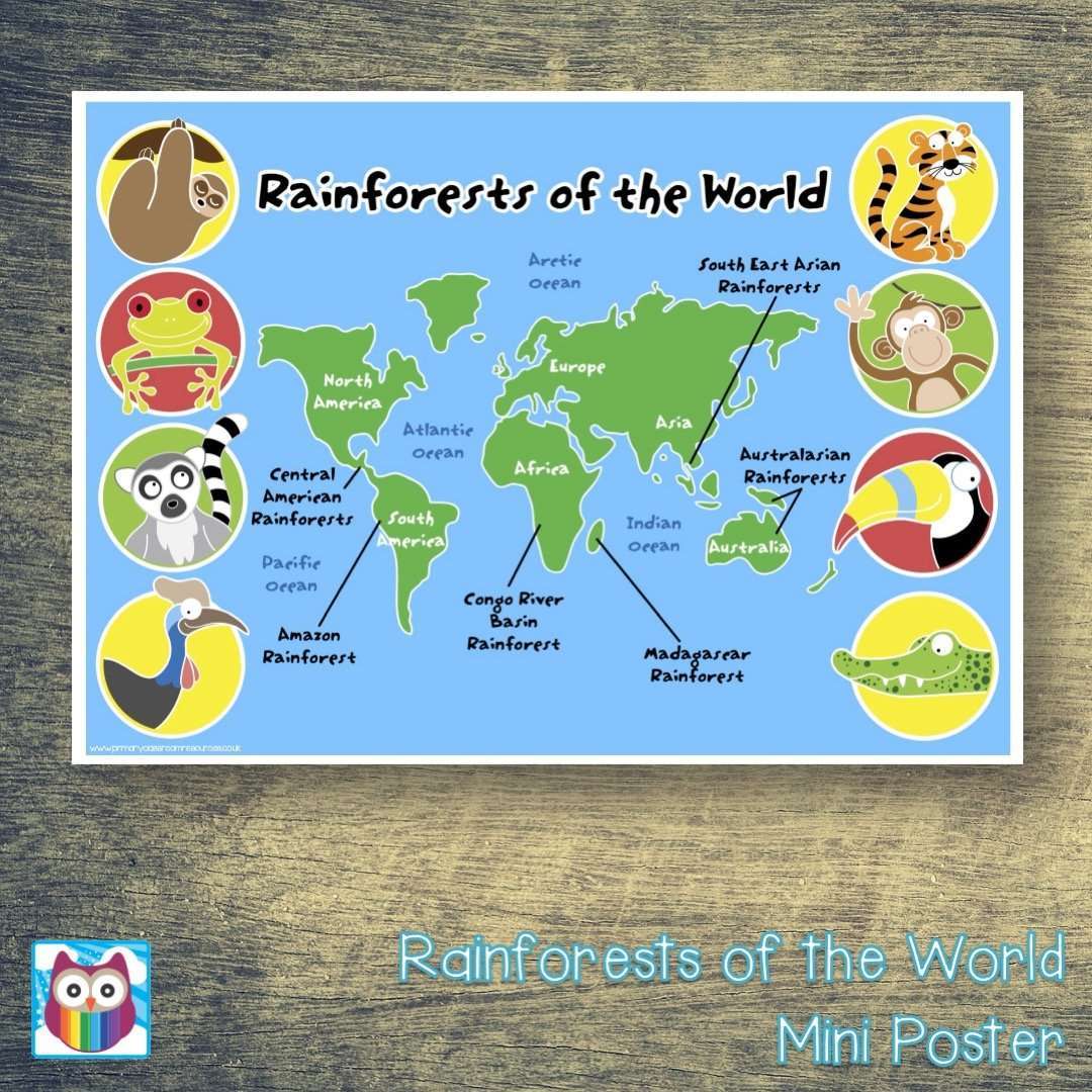 Rainforests of the World Map Pack:Primary Classroom Resources