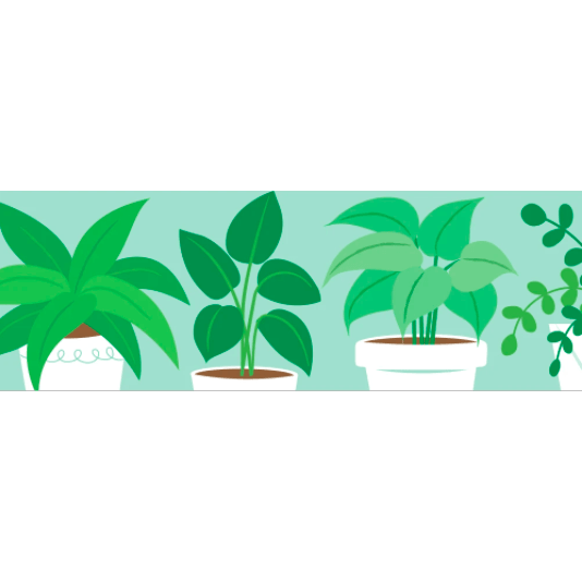 Potted Plants EZ Classroom Display Borders:Primary Classroom Resources