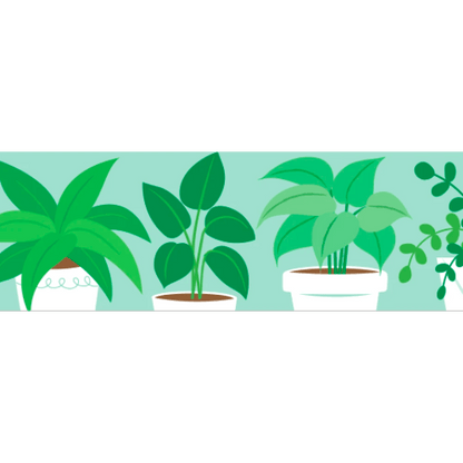 Potted Plants EZ Classroom Display Borders:Primary Classroom Resources