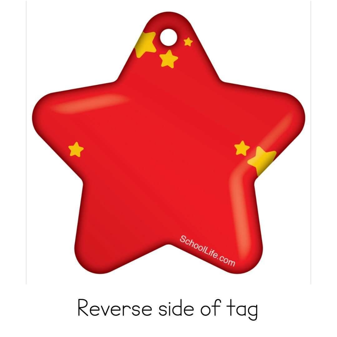 Online Participation Award Star Brag Tags Classroom Rewards - Pack of 10:Primary Classroom Resources
