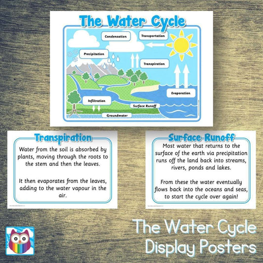 The Water Cycle Poster Pack:Primary Classroom Resources