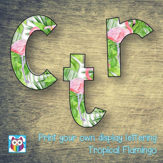 Print Your Own Display Lettering - Tropical Flamingo:Primary Classroom Resources
