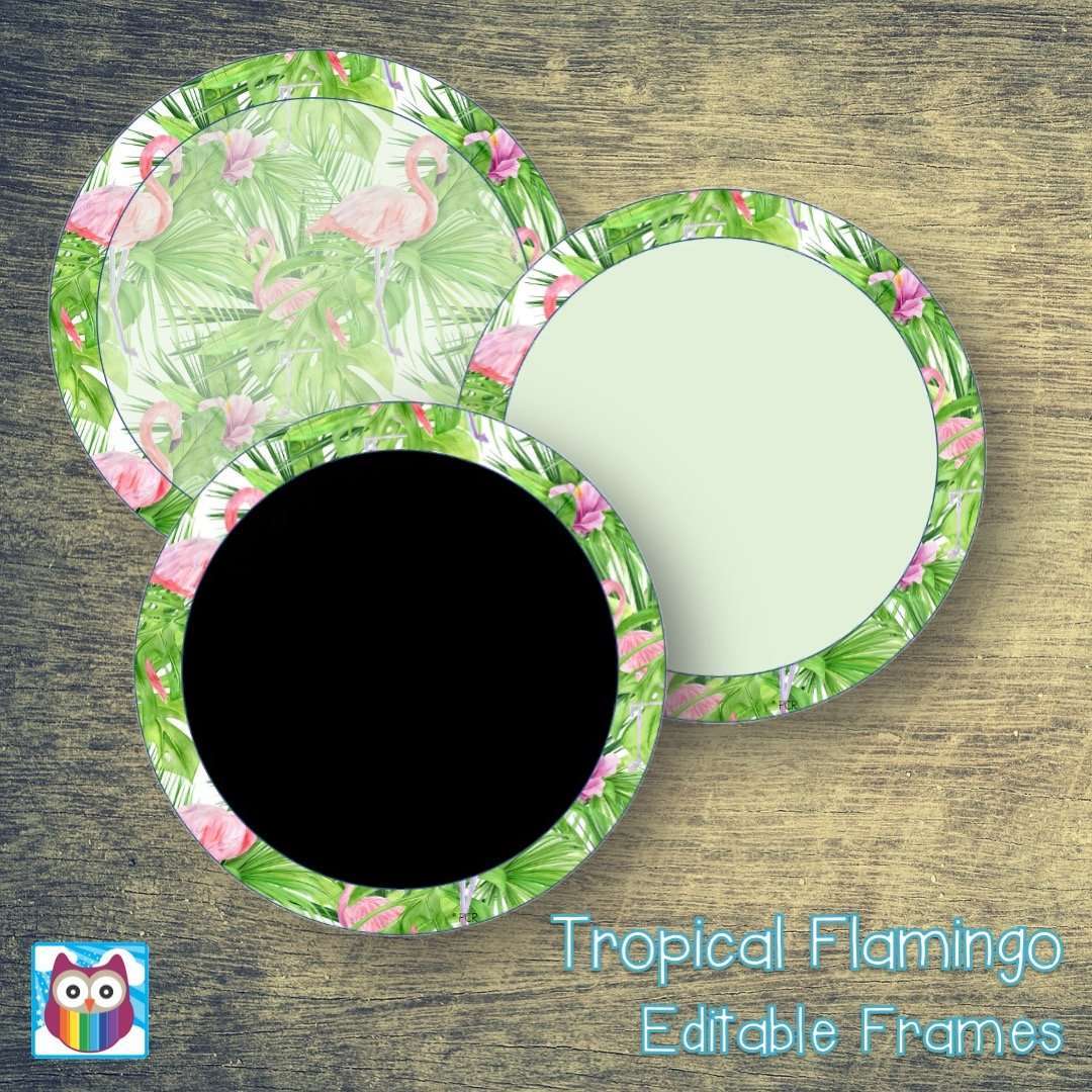 Tropical Flamingo Editable Frames:Primary Classroom Resources