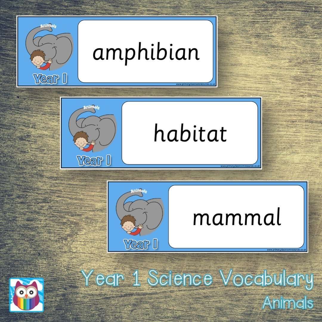 Year 1 Science Vocabulary - Animals:Primary Classroom Resources