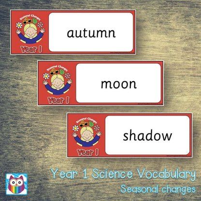 Year 1 Science Vocabulary - Seasonal Changes:Primary Classroom Resources