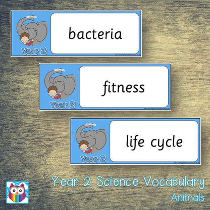 Year 2 Science Vocabulary - Animals including humans:Primary Classroom Resources