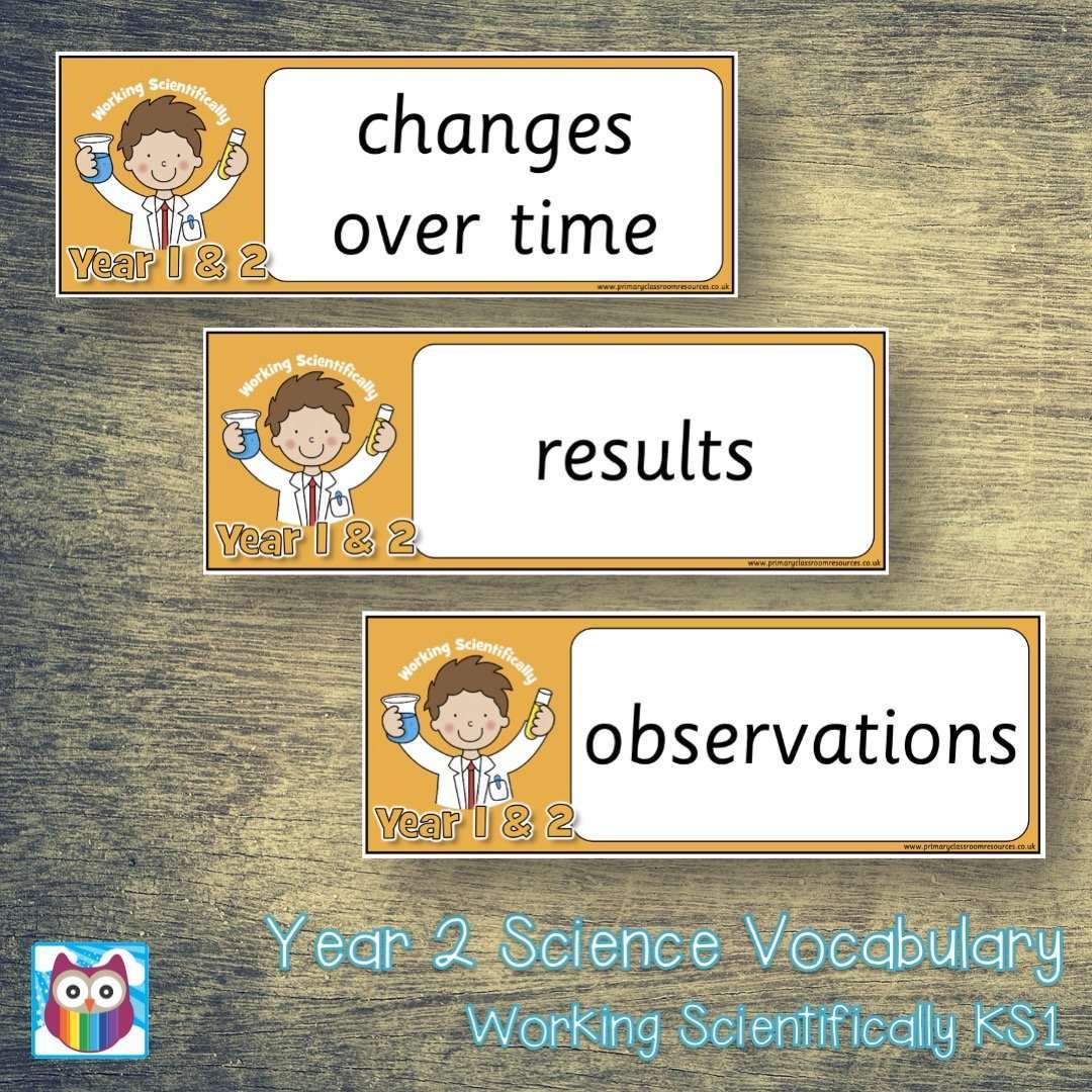 Year 1 and 2 Science Vocabulary - Working Scientifically:Primary Classroom Resources