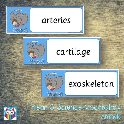 Year 3 Science Vocabulary Pack:Primary Classroom Resources