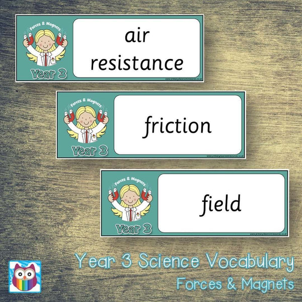 Year 3 Science Vocabulary Pack – Primary Classroom Resources