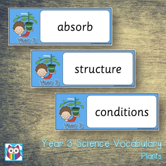 Year 3 Science Vocabulary - Plants:Primary Classroom Resources