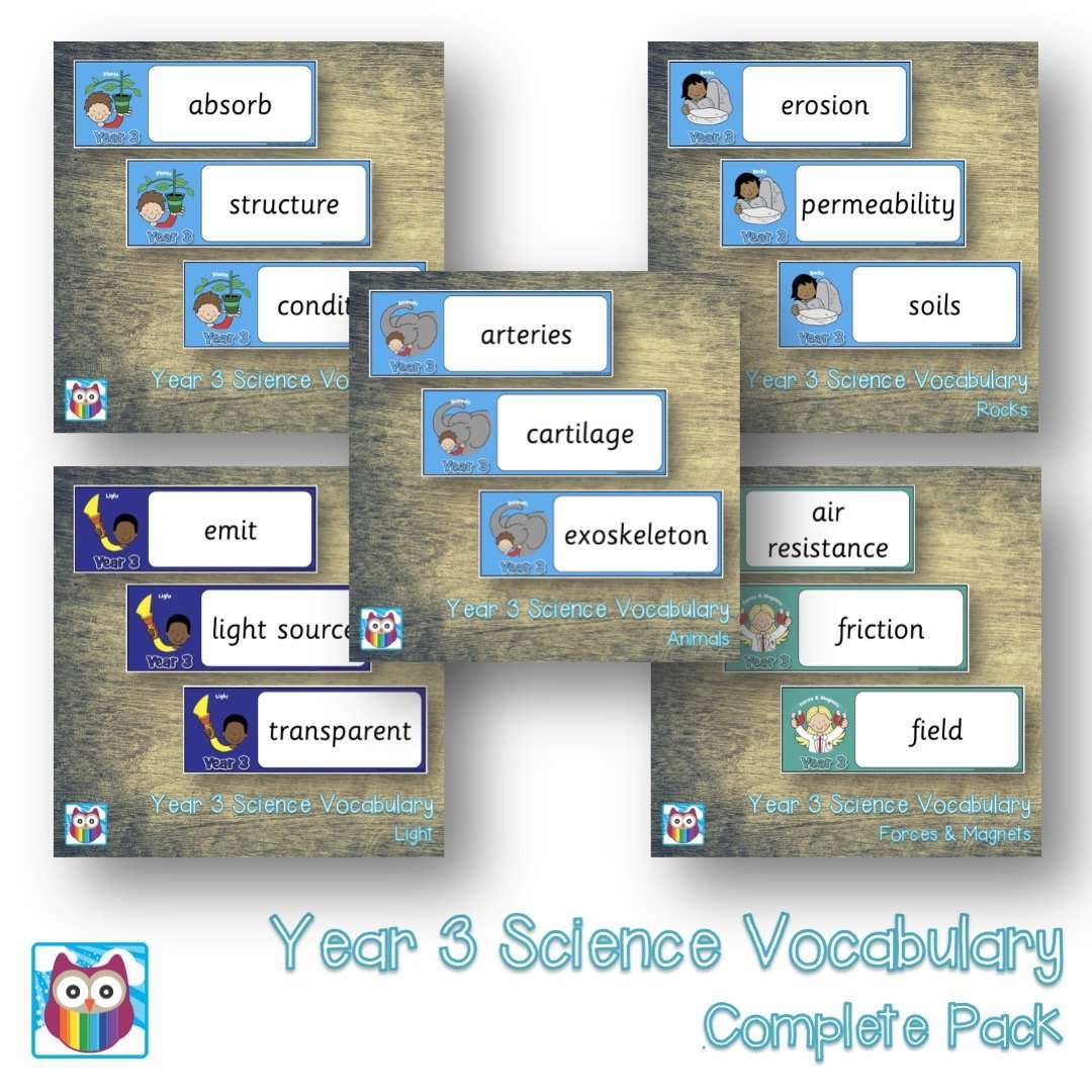 Science Year 3 Module Year 3 Science Vocabulary Pack – Primary Classroom Resources