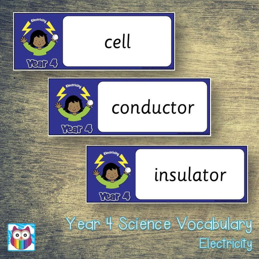 Year 4 Science Vocabulary - Electricity:Primary Classroom Resources