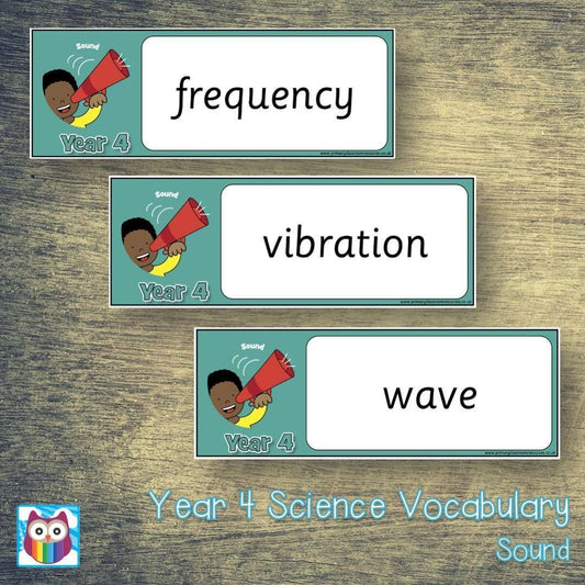 Year 4 Science Vocabulary - Sound:Primary Classroom Resources