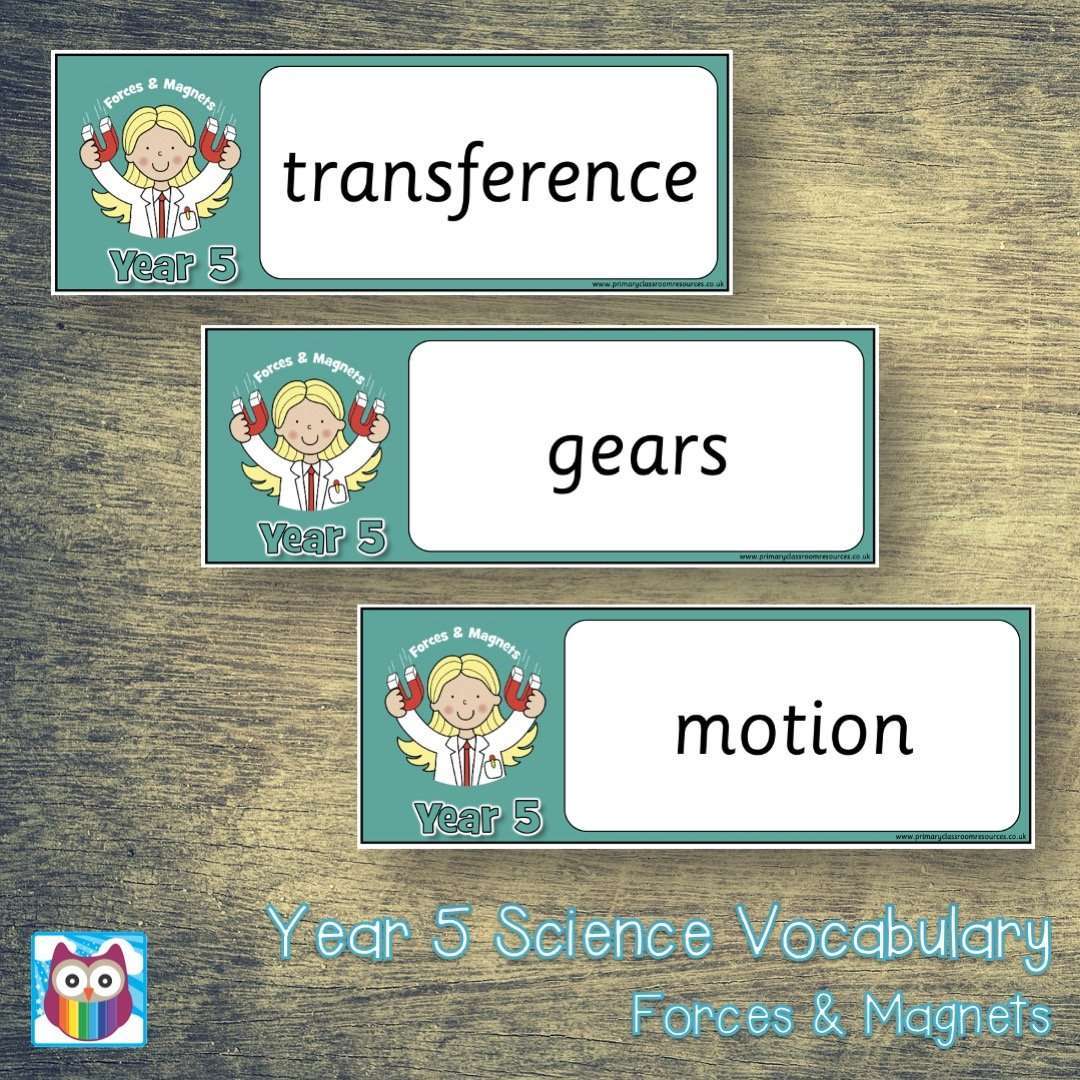 Year 5 Science Vocabulary Pack:Primary Classroom Resources