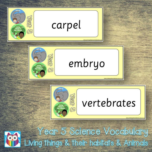 Year 5 Science Vocabulary - Living things and their habits & Animals:Primary Classroom Resources