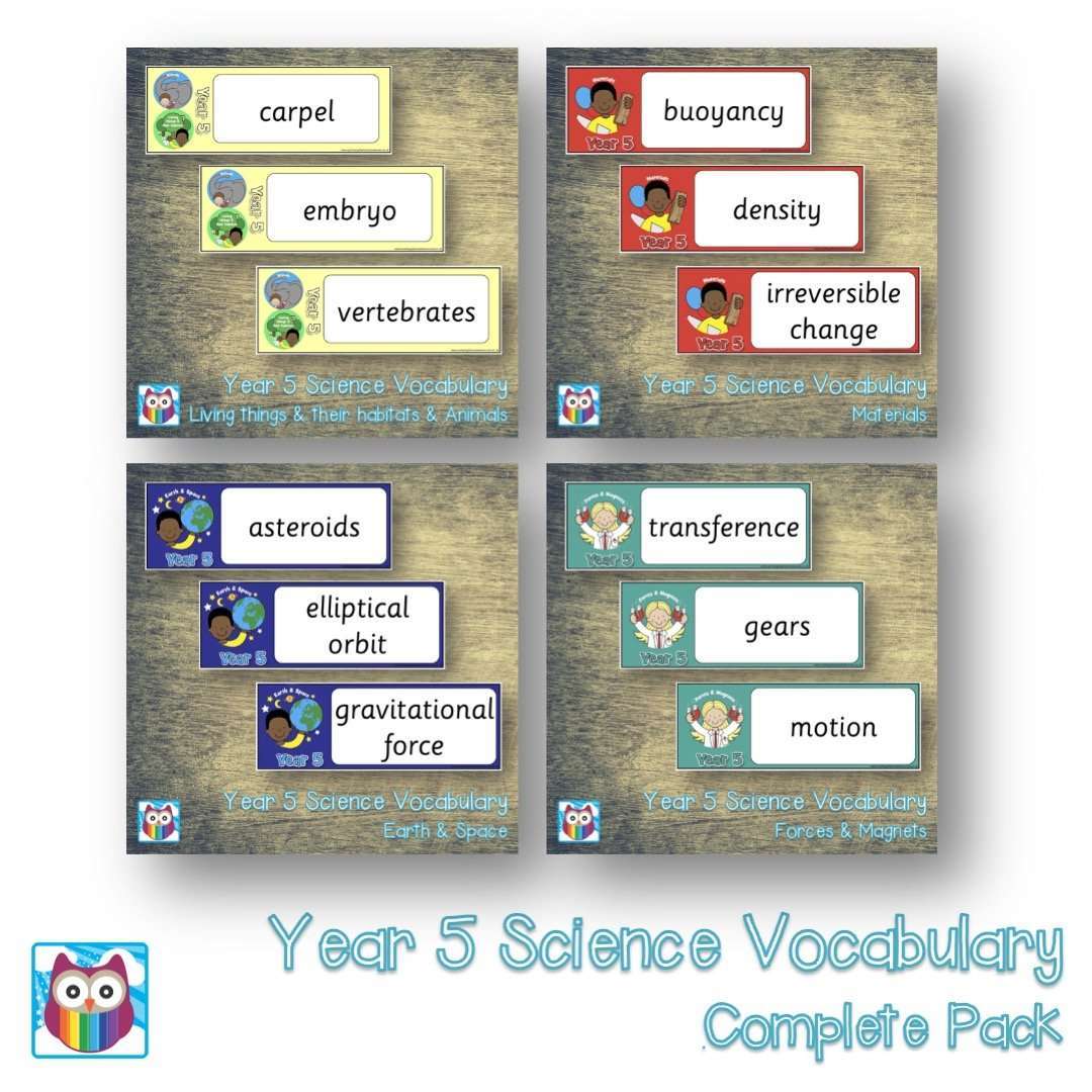 Year 5 Science Vocabulary Pack:Primary Classroom Resources