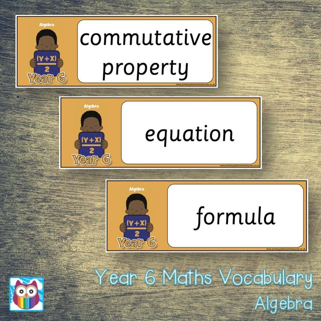 Year 6 Maths Vocabulary - Algebra:Primary Classroom Resources
