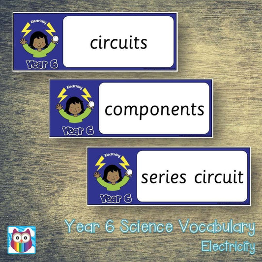 Year 6 Science Vocabulary - Electricity:Primary Classroom Resources