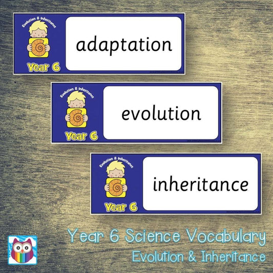 Year 6 Science Vocabulary - Evolution & Inheritance:Primary Classroom Resources