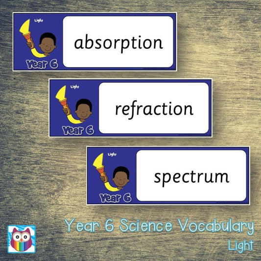 Year 6 Science Vocabulary - Light:Primary Classroom Resources